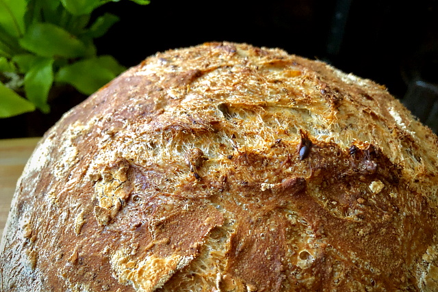Crusty seeded wholemeal bread